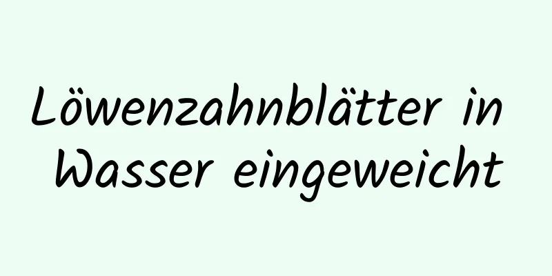 Löwenzahnblätter in Wasser eingeweicht