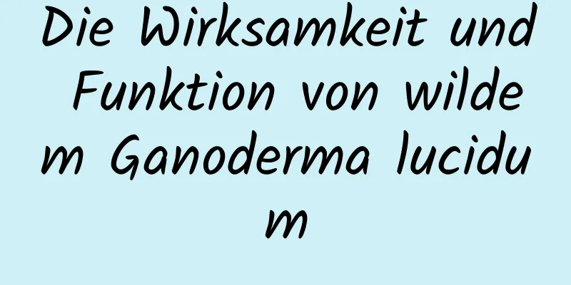 Die Wirksamkeit und Funktion von wildem Ganoderma lucidum