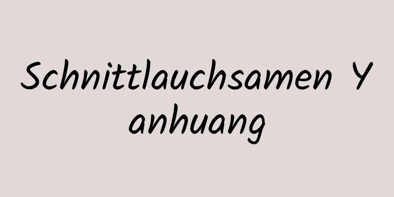 Schnittlauchsamen Yanhuang