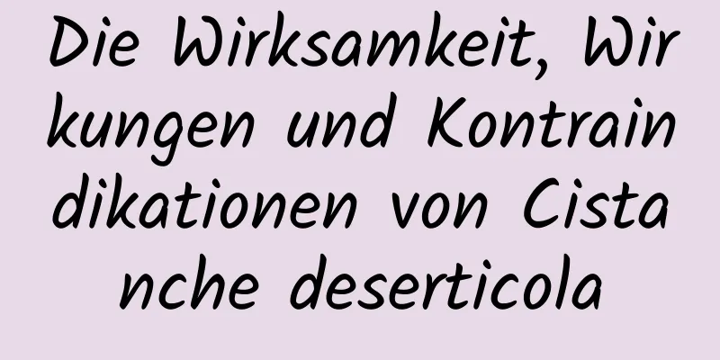 Die Wirksamkeit, Wirkungen und Kontraindikationen von Cistanche deserticola