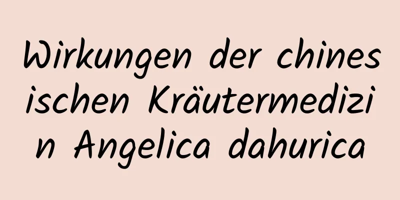 Wirkungen der chinesischen Kräutermedizin Angelica dahurica