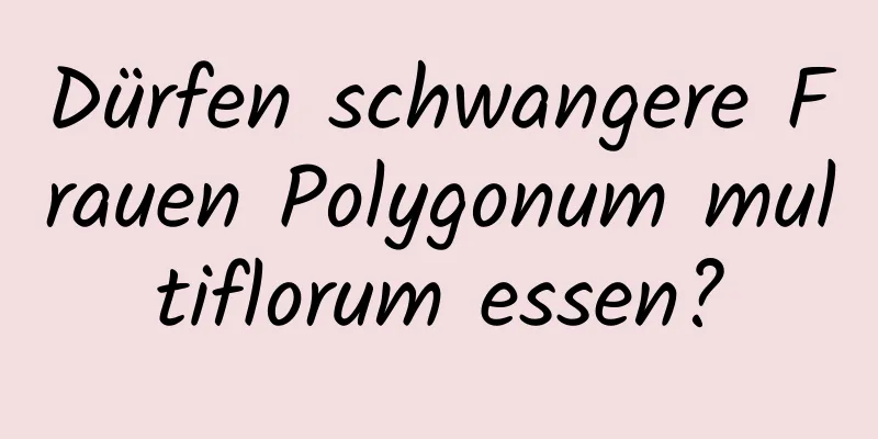 Dürfen schwangere Frauen Polygonum multiflorum essen?