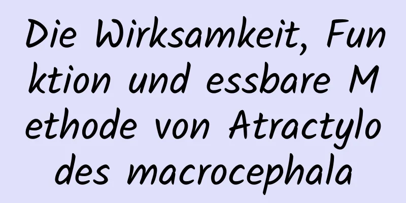 Die Wirksamkeit, Funktion und essbare Methode von Atractylodes macrocephala