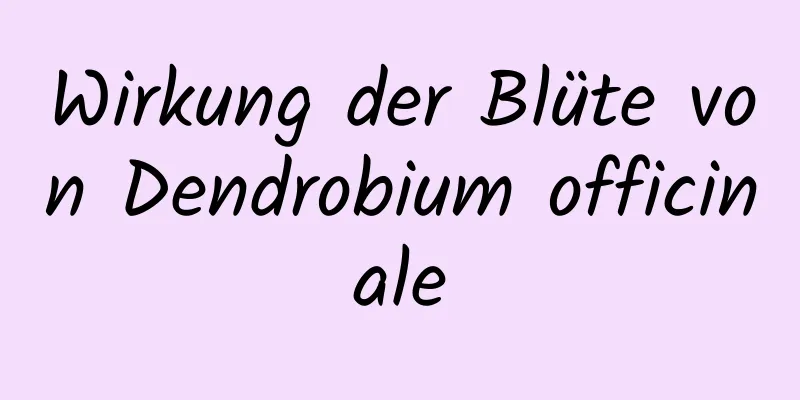 Wirkung der Blüte von Dendrobium officinale