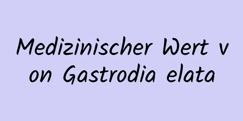 Medizinischer Wert von Gastrodia elata