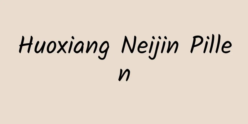 Huoxiang Neijin Pillen