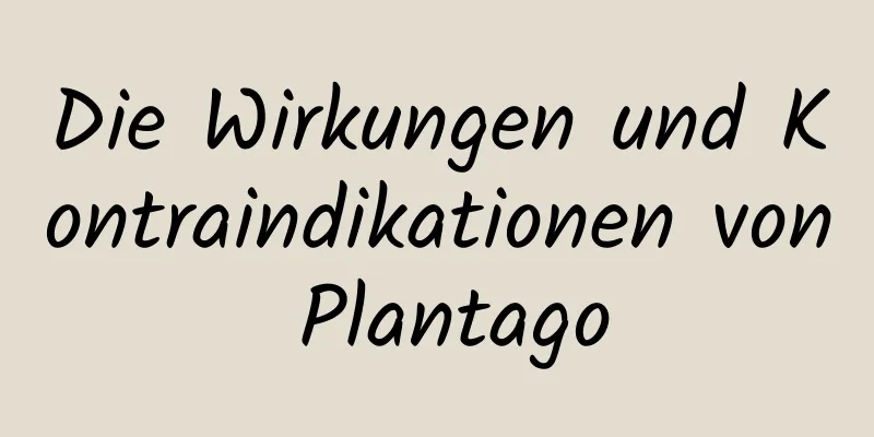 Die Wirkungen und Kontraindikationen von Plantago