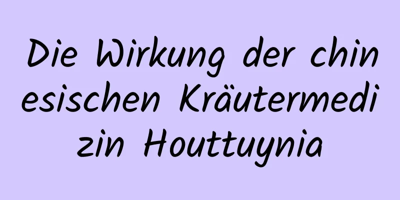 Die Wirkung der chinesischen Kräutermedizin Houttuynia