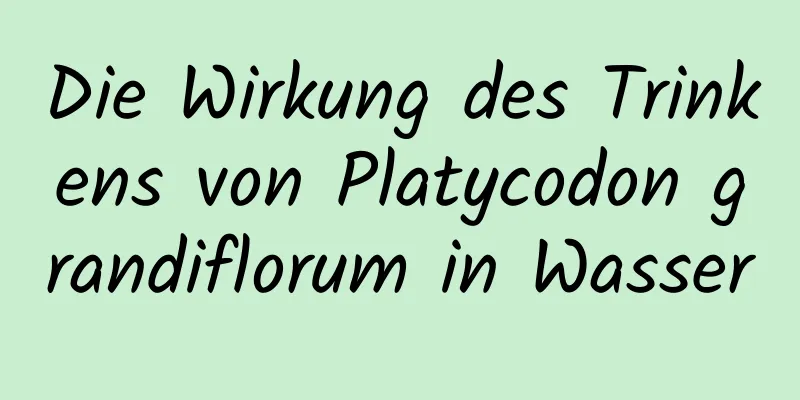 Die Wirkung des Trinkens von Platycodon grandiflorum in Wasser