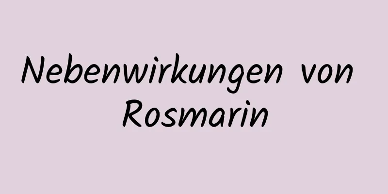 Nebenwirkungen von Rosmarin