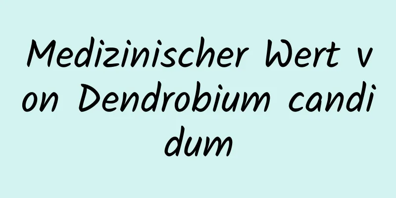 Medizinischer Wert von Dendrobium candidum