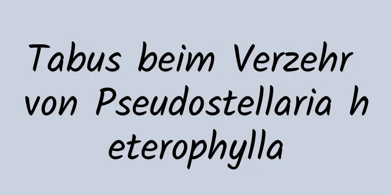 Tabus beim Verzehr von Pseudostellaria heterophylla