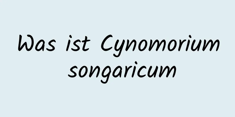 Was ist Cynomorium songaricum