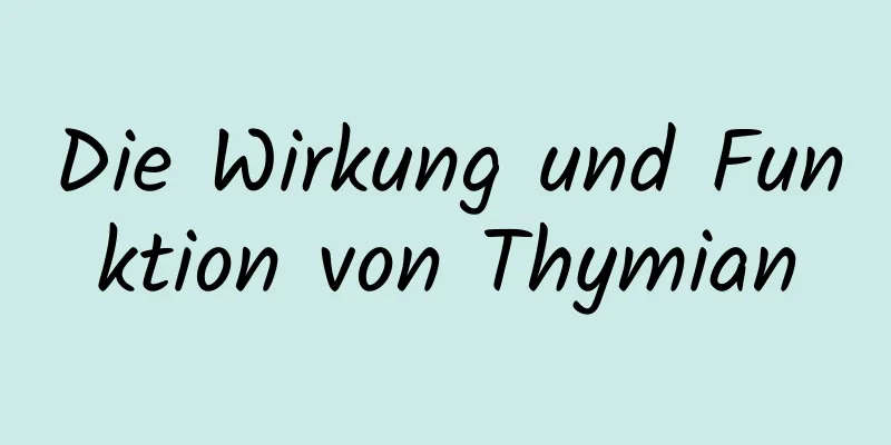 Die Wirkung und Funktion von Thymian