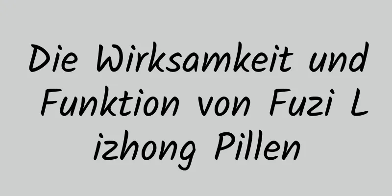 Die Wirksamkeit und Funktion von Fuzi Lizhong Pillen