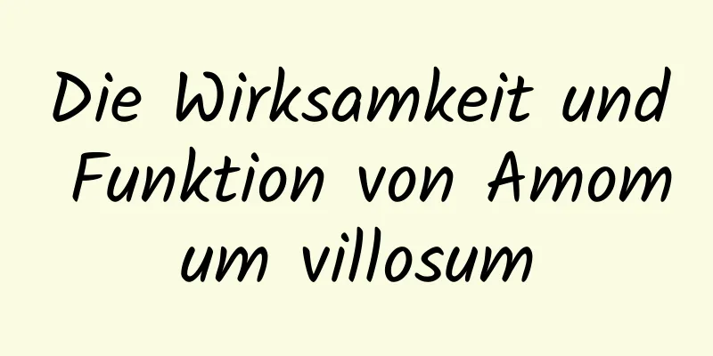 Die Wirksamkeit und Funktion von Amomum villosum