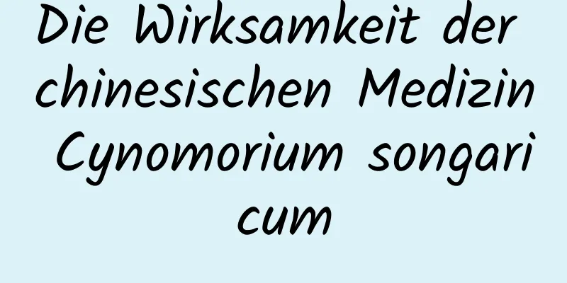 Die Wirksamkeit der chinesischen Medizin Cynomorium songaricum