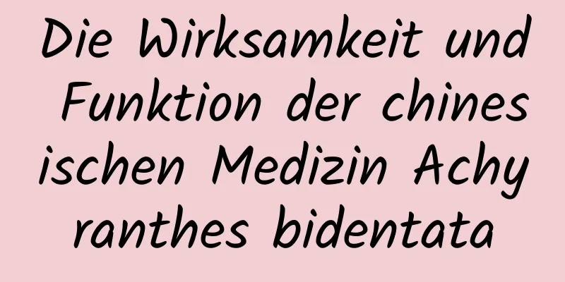 Die Wirksamkeit und Funktion der chinesischen Medizin Achyranthes bidentata