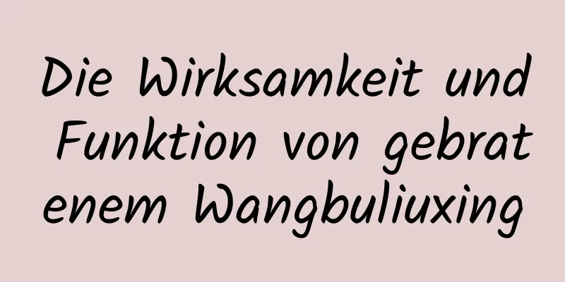 Die Wirksamkeit und Funktion von gebratenem Wangbuliuxing