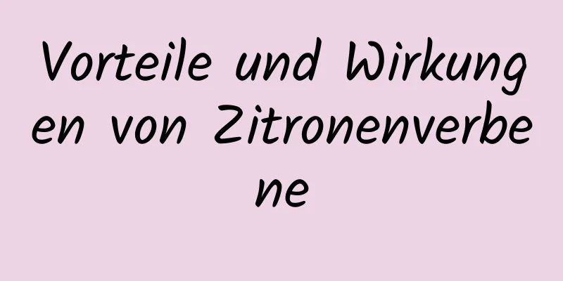 Vorteile und Wirkungen von Zitronenverbene