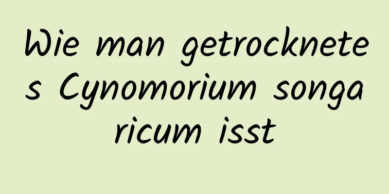 Wie man getrocknetes Cynomorium songaricum isst