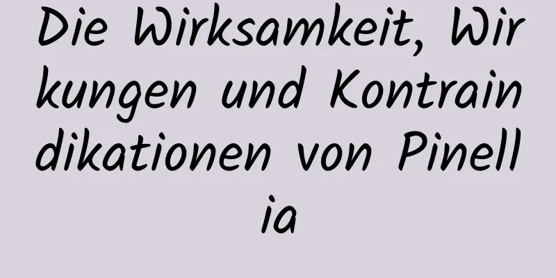 Die Wirksamkeit, Wirkungen und Kontraindikationen von Pinellia