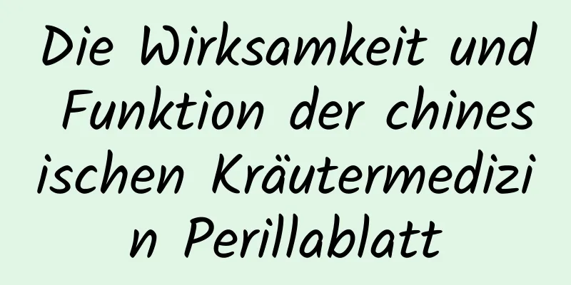 Die Wirksamkeit und Funktion der chinesischen Kräutermedizin Perillablatt