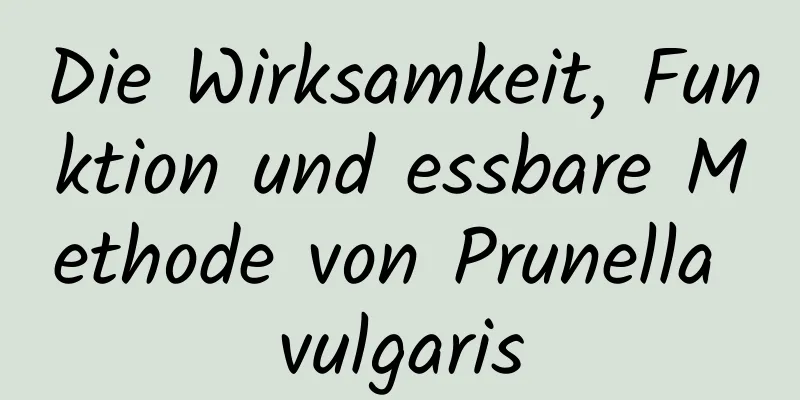 Die Wirksamkeit, Funktion und essbare Methode von Prunella vulgaris