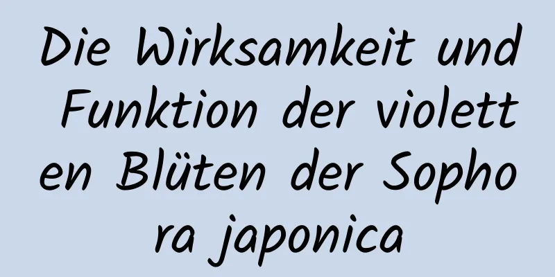 Die Wirksamkeit und Funktion der violetten Blüten der Sophora japonica