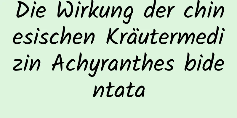 Die Wirkung der chinesischen Kräutermedizin Achyranthes bidentata