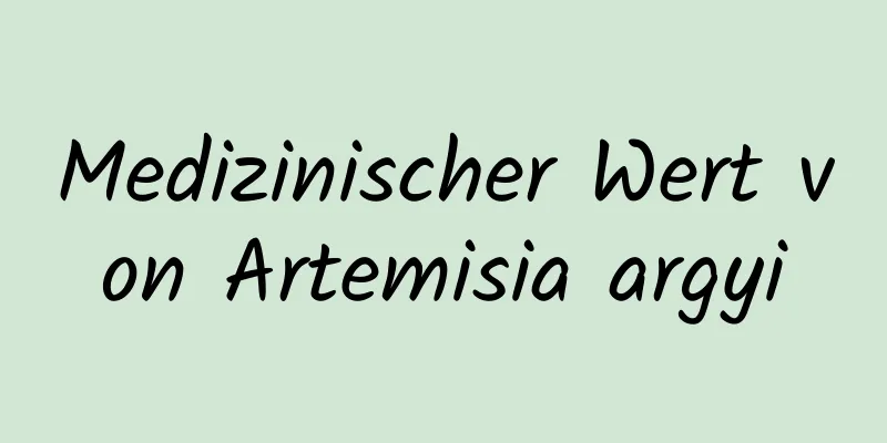 Medizinischer Wert von Artemisia argyi