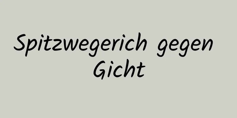 Spitzwegerich gegen Gicht