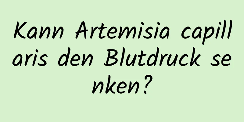 Kann Artemisia capillaris den Blutdruck senken?