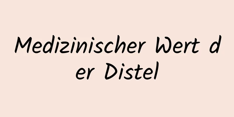 Medizinischer Wert der Distel