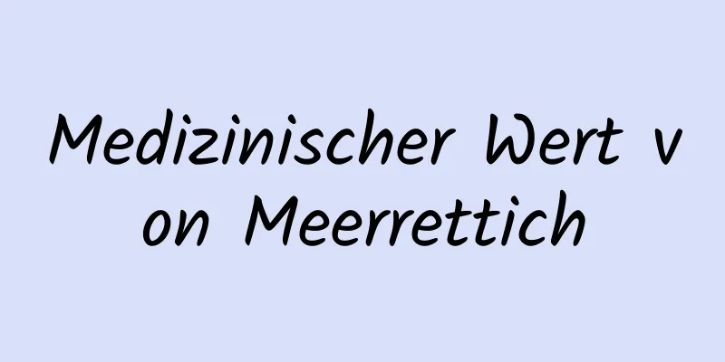 Medizinischer Wert von Meerrettich