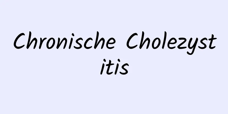 Chronische Cholezystitis