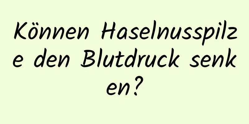 Können Haselnusspilze den Blutdruck senken?