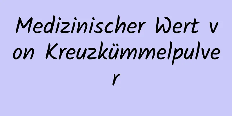 Medizinischer Wert von Kreuzkümmelpulver