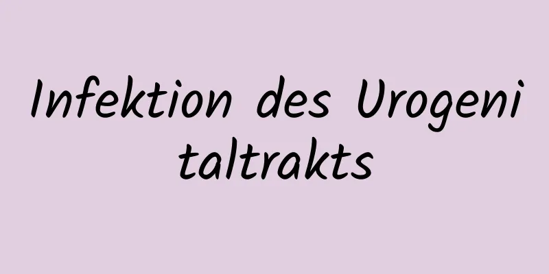 Infektion des Urogenitaltrakts