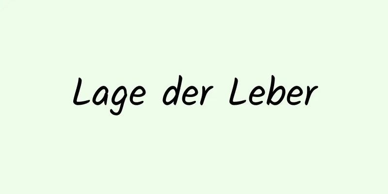 Lage der Leber