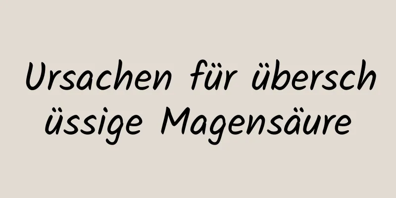 Ursachen für überschüssige Magensäure