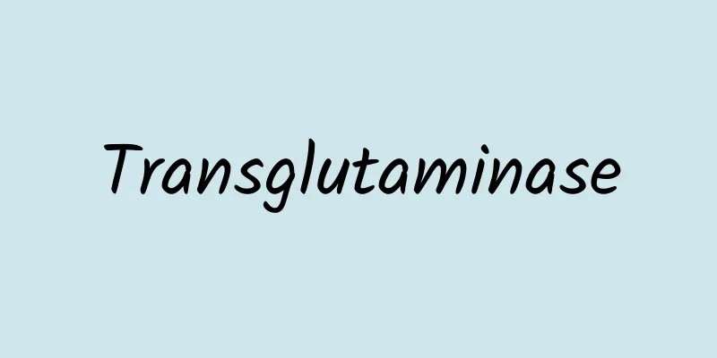 Transglutaminase