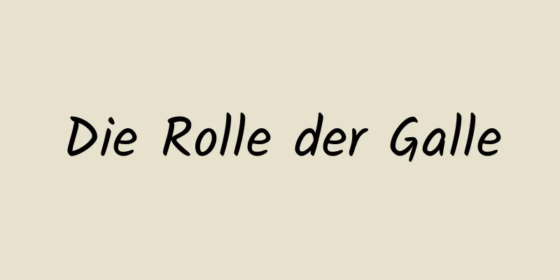 Die Rolle der Galle