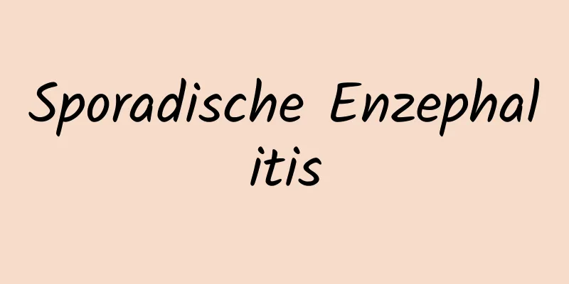 Sporadische Enzephalitis