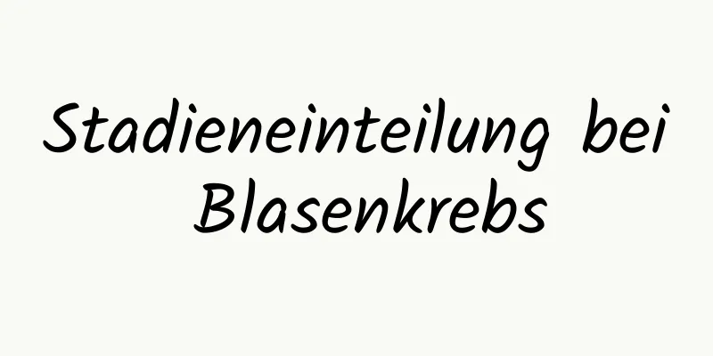 Stadieneinteilung bei Blasenkrebs