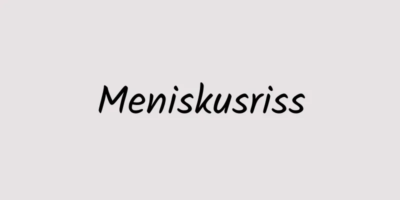 Meniskusriss