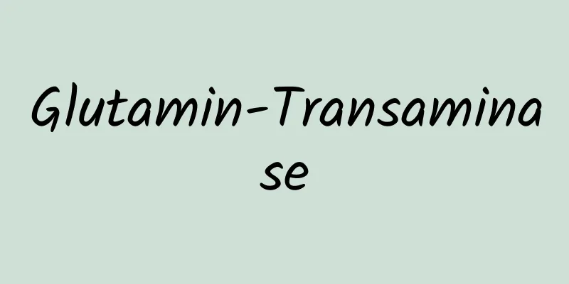 Glutamin-Transaminase