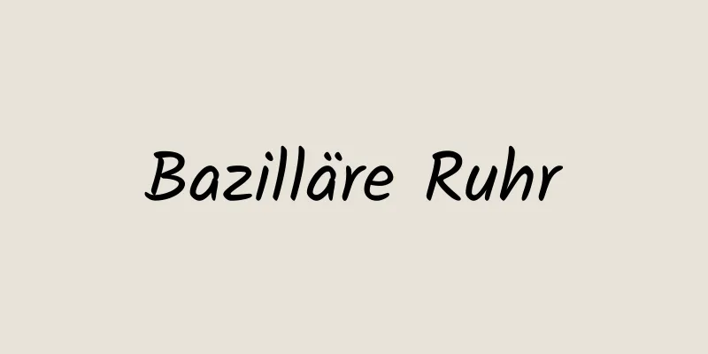 Bazilläre Ruhr