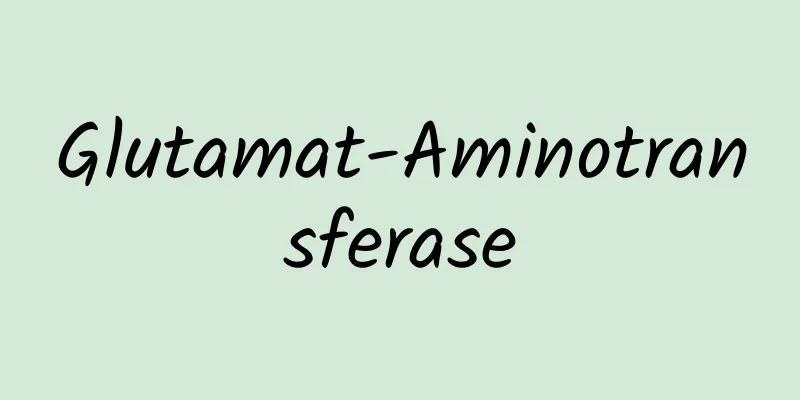 Glutamat-Aminotransferase