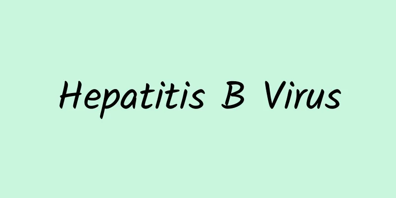 Hepatitis B Virus